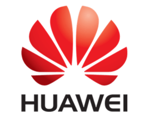 تركيب الشبكة بالكامل